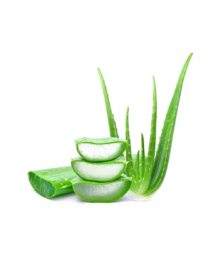 Aloe Barbadensis Leaf Juice