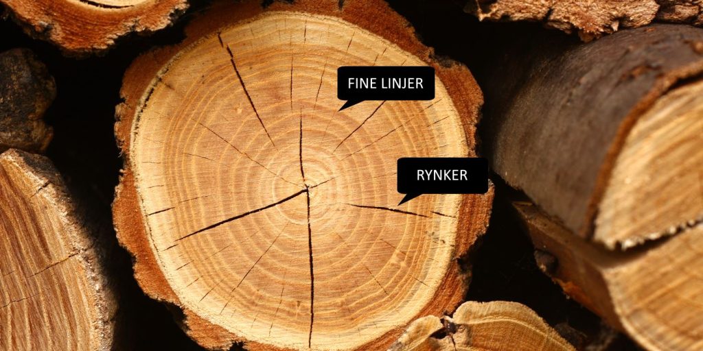 træ, der symboliserer fine linjer og rynker i huden