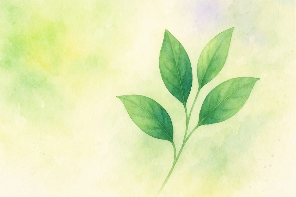 Grønne blade, citrus tonede farvestemninger og mildt lys